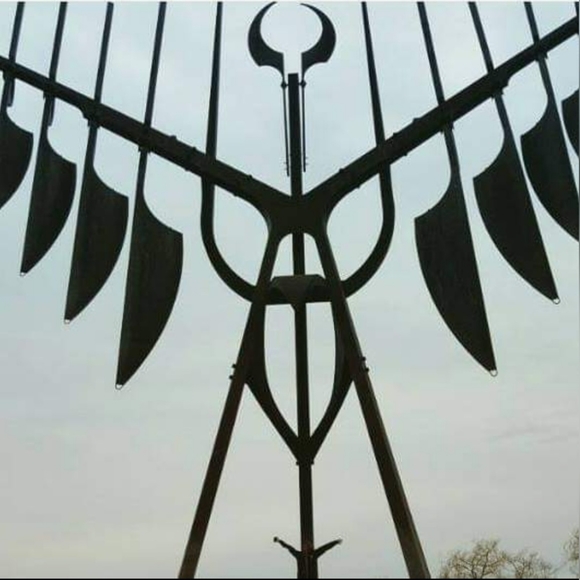 Meet your Posher, Jinxy - Picture 3 of 7